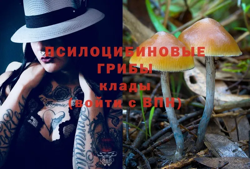 Псилоцибиновые грибы Magic Shrooms  Петушки 